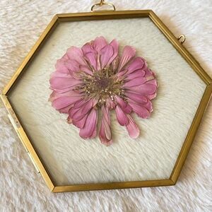 A fresh pressed zinnia flower and a 5 x 6 octagon gold float frame. Handmade
